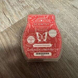 Scentsy Cinnamon Pinecones